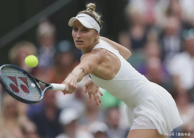 ms的网络 ms的网络